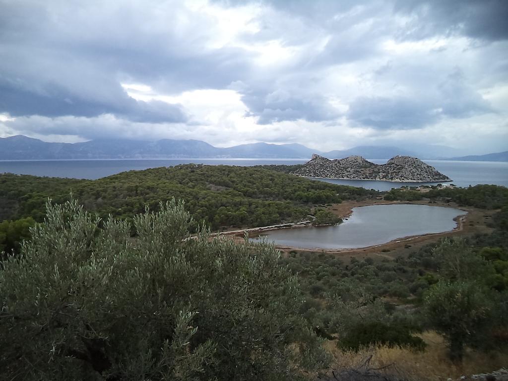 Hotel Andreas - Agistri Skala  Bagian luar foto